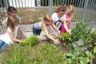 Kinder bewirtschaften einen Garten