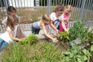 Kinder bewirtschaften einen Garten